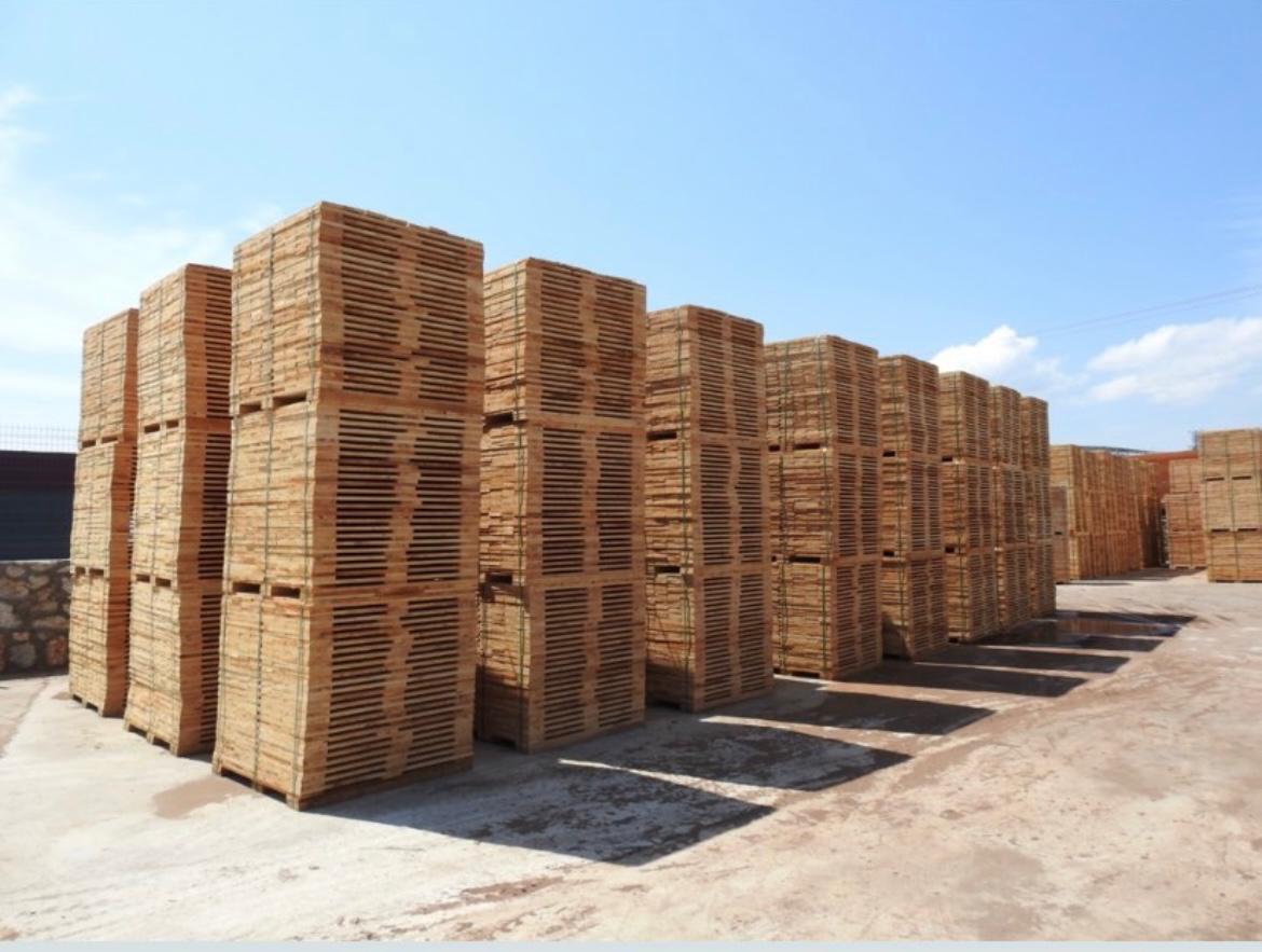 Palet Tahtası Üretimi